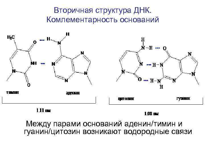 Химические связи в днк