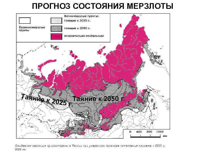 ПРОГНОЗ СОСТОЯНИЯ МЕРЗЛОТЫ Таяние к 2025 Таяние к 2050 г. 