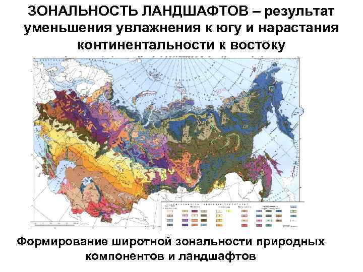 Схема природной зональности