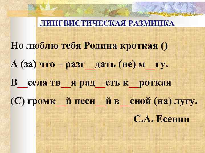 ЛИНГВИСТИЧЕСКАЯ РАЗМИНКА Но люблю тебя Родина кроткая () А (за) что – разг__дать (не)