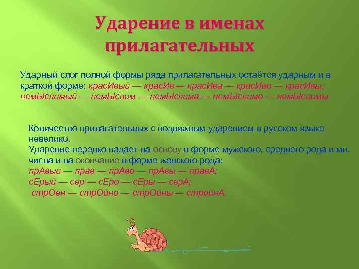 Ударение в именах прилагательных Ударный слог полной формы ряда прилагательных остаётся ударным и в