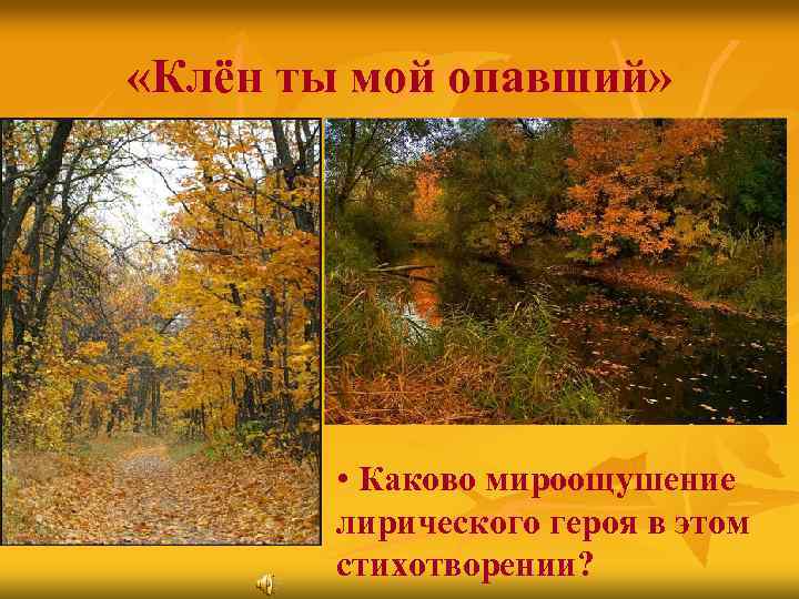  «Клён ты мой опавший» • Каково мироощушение лирического героя в этом стихотворении? 