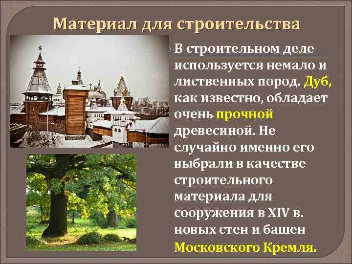 Материал для строительства В строительном деле используется немало и лиственных пород. Дуб, как известно,