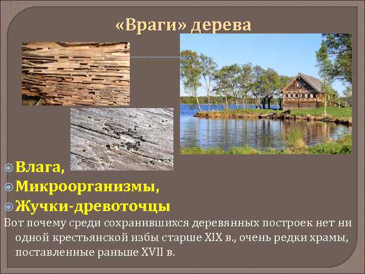  «Враги» дерева Влага, Микроорганизмы, Жучки-древоточцы Вот почему среди сохранившихся деревянных построек нет ни