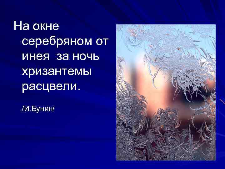 На окне серебряном от инея за ночь хризантемы расцвели. /И. Бунин/ ~~~~~~~~~~~~~~ х 