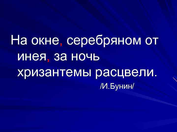 На окне, серебряном от инея, за ночь хризантемы расцвели. /И. Бунин/ 