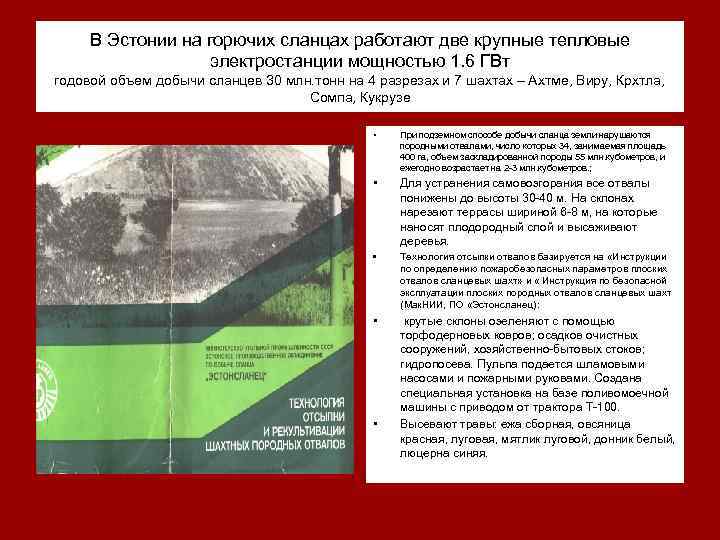 В Эстонии на горючих сланцах работают две крупные тепловые электростанции мощностью 1. 6 ГВт