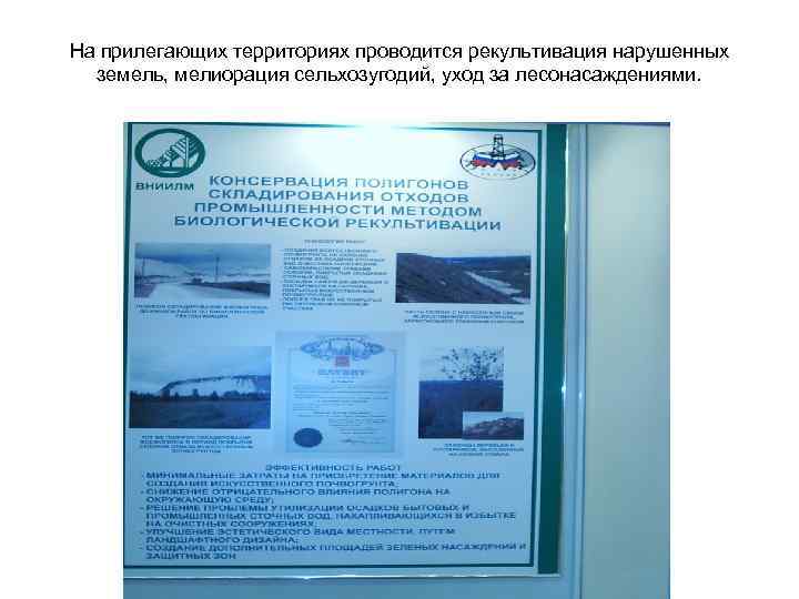 На прилегающих территориях проводится рекультивация нарушенных земель, мелиорация сельхозугодий, уход за лесонасаждениями. 