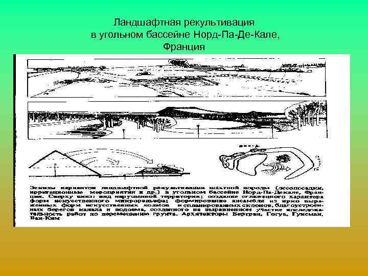 Ландшафтная рекультивация в угольном бассейне Норд-Па-Де-Кале, Франция 