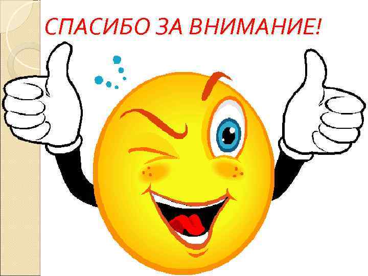 СПАСИБО ЗА ВНИМАНИЕ! 