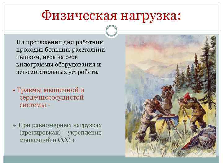 Физическая нагрузка: На протяжении дня работник проходит большие расстоянии пешком, неся на себе килограммы