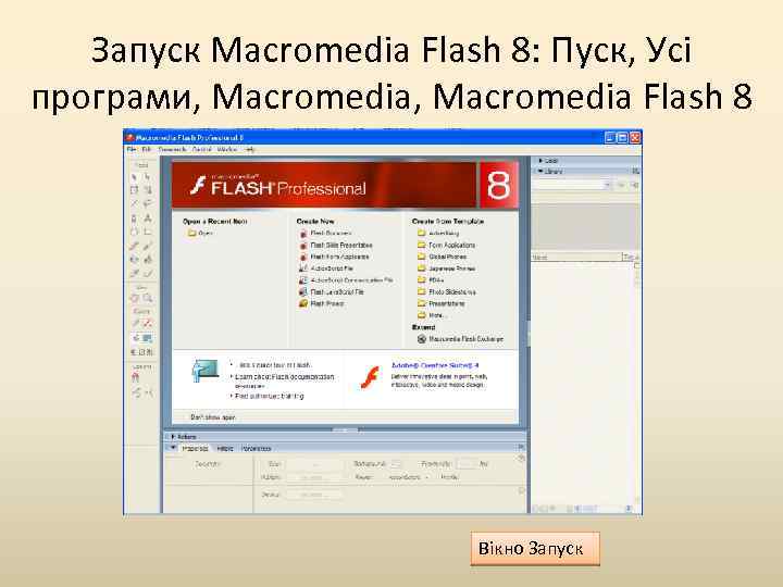 Запуск Macromedia Flash 8: Пуск, Усі програми, Macromedia Flash 8 Вікно Запуск 