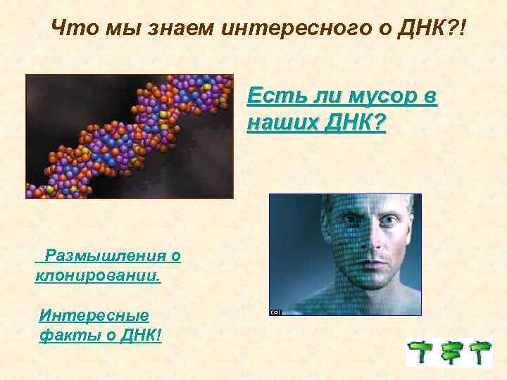  Что мы знаем интересного о ДНК? ! Есть ли мусор в наших ДНК?