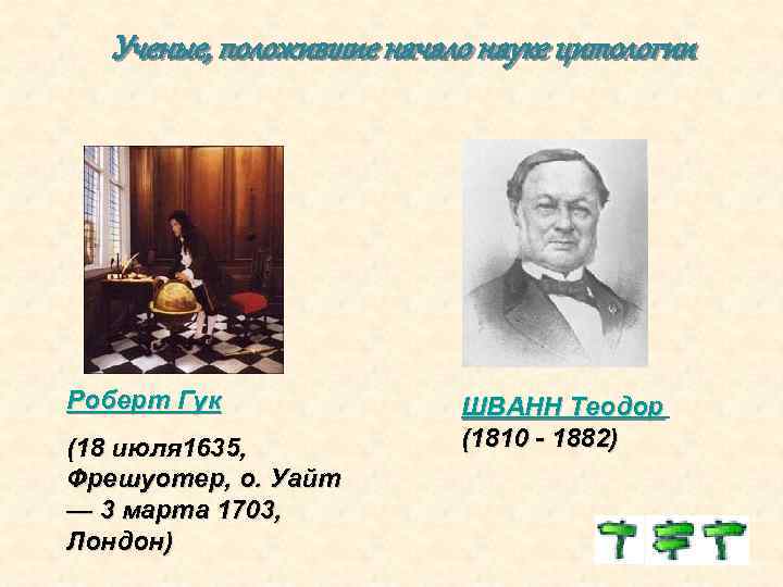 Ученые, положившие начало науке цитологии Роберт Гук (18 июля 1635, Фрешуотер, о. Уайт —