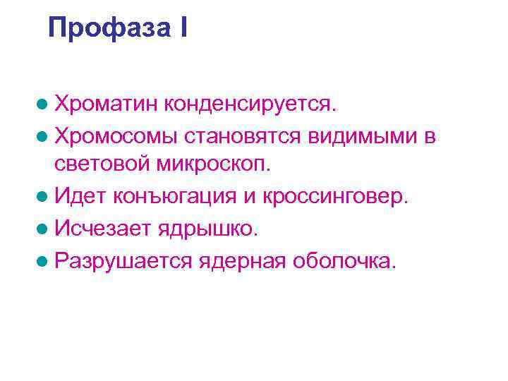 Профаза I l Хроматин конденсируется. l Хромосомы становятся видимыми в световой микроскоп. l Идет