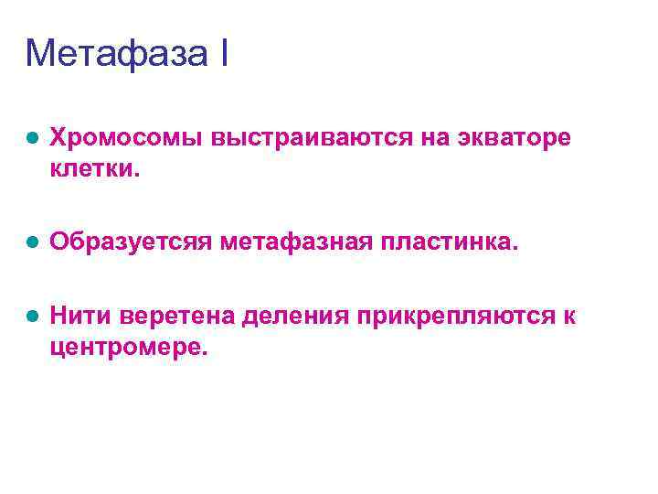 Метафаза I l Хромосомы выстраиваются на экваторе клетки. l Образуетсяя метафазная пластинка. l Нити