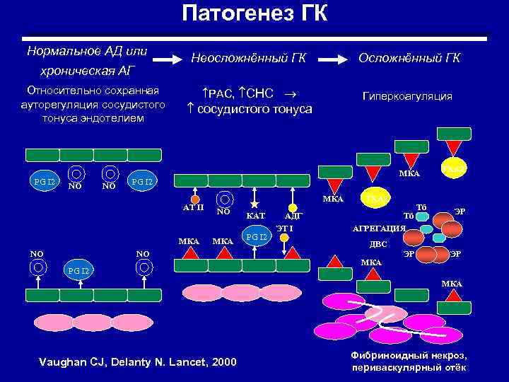 Патогенез ГК Нормальное АД или хроническая АГ Относительно сохранная ауторегуляция сосудистого тонуса эндотелием PG