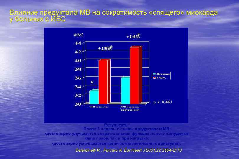 Влияние предуктала МВ на сократимость «спящего» миокарда у больных с ИБС * +14% ФВ%