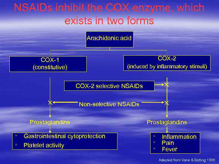 NSAIDs inhibit the COX enzyme, which exists in two forms Arachidonic acid COX-2 COX-1