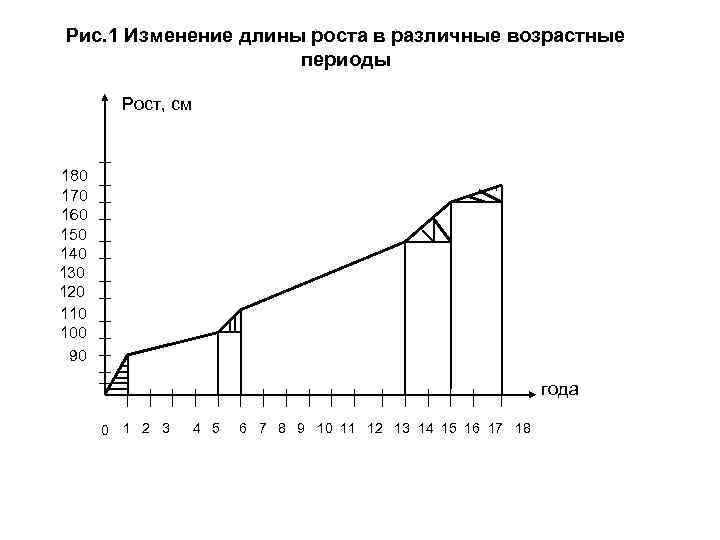 Рис. 1 Изменение длины роста в различные возрастные периоды Рост, см 180 170 160