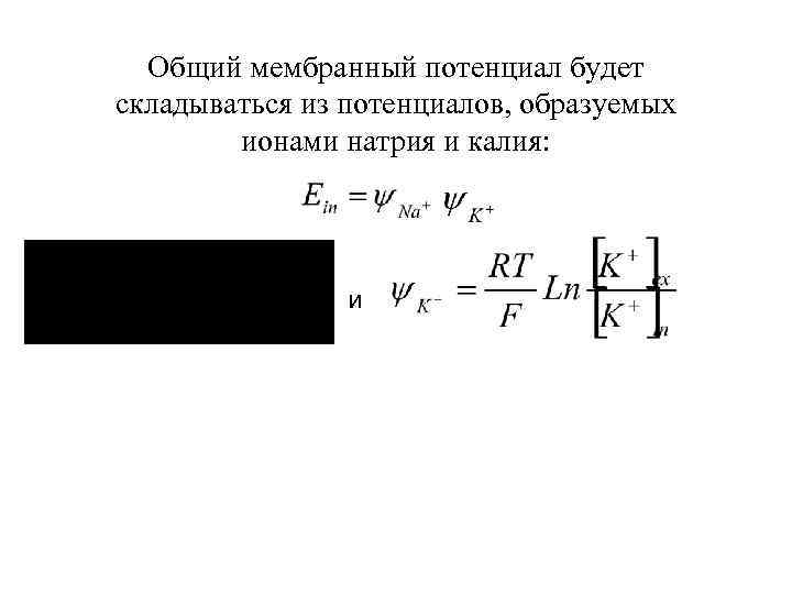 Общий мембранный потенциал будет складываться из потенциалов, образуемых ионами натрия и калия: и 