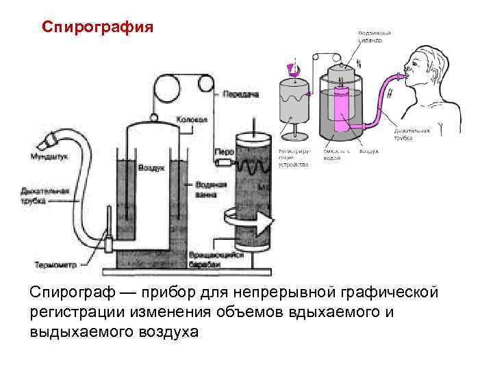 Спирография Спирограф — прибор для непрерывной графической регистрации изменения объемов вдыхаемого и выдыхаемого воздуха