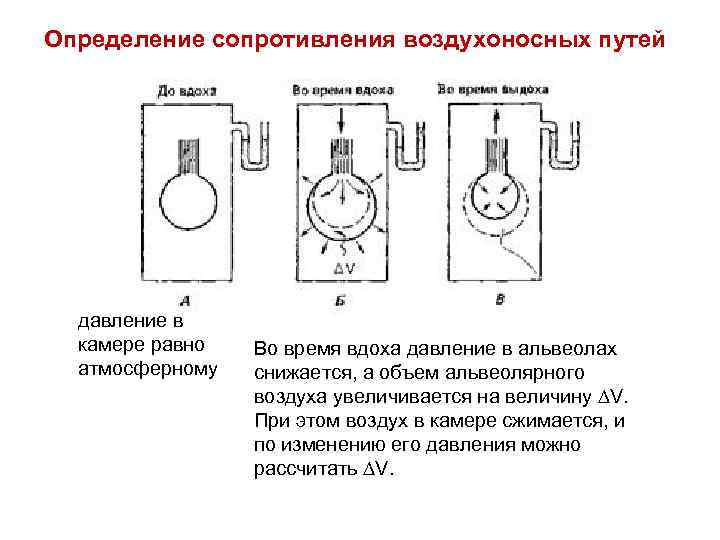 Определение сопротивления воздухоносных путей давление в камере равно атмосферному Во время вдоха давление в
