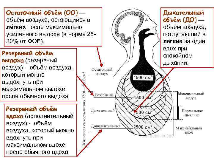 Остаточный объём (ОО) — объём воздуха, остающийся в лёгких после максимально усиленного выдоха (в