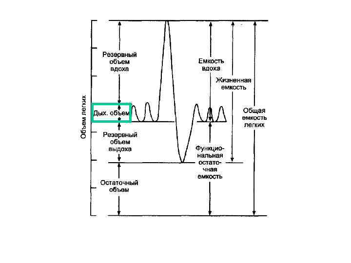 Резервный объем выдоха. Резервный объем вдоха и выдоха. Показатели резервного объема вдоха. Резервный объем вдоха формула. Резервный объем вдоха норма.