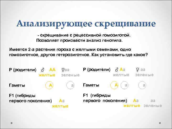 Анализирующее скрещивание - скрещивание с рецессивной гомозиготой. Позволяет произвести анализ генотипа. Имеется 2 -а