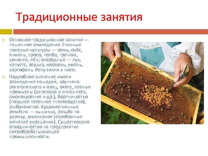 Традиционные занятия Основное традиционное занятие — пашенное земледелие. Главные полевые культуры — рожь, овёс,