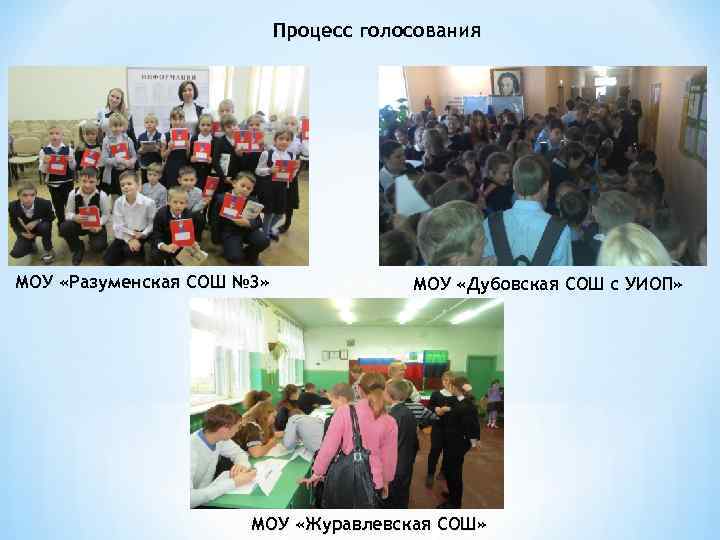 Процесс голосования МОУ «Разуменская СОШ № 3» МОУ «Дубовская СОШ с УИОП» МОУ «Журавлевская
