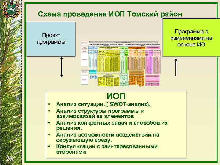 Схема проведения ИОП Томский район Программа с изменениями на основе ИО Проект программы ИОП