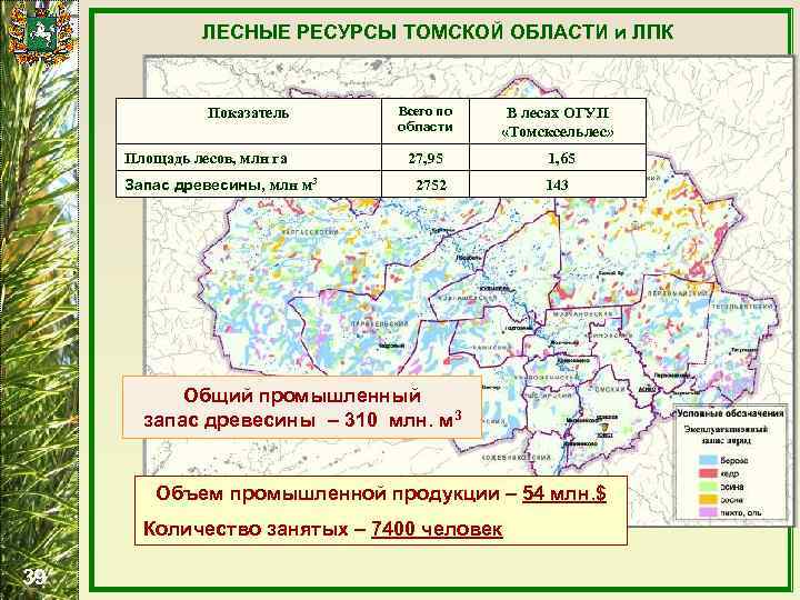 Томская область документы. Лесные ресурсы Томской области. Природные ресурсы Томской области. Богатство Томской области. Природные богатства Томской области.