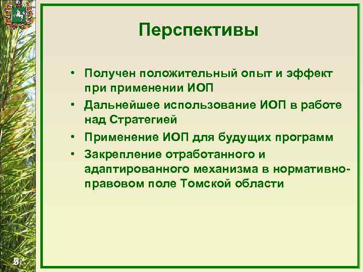 Перспективы • Получен положительный опыт и эффект применении ИОП • Дальнейшее использование ИОП в