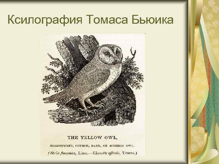 Ксилография Томаса Бьюика 