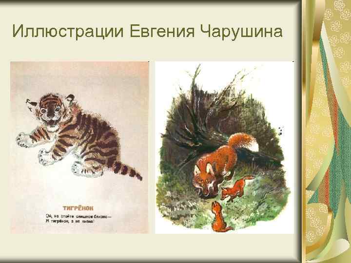 Иллюстрации Евгения Чарушина 