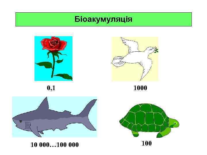 Біоакумуляція 0, 1 10 000… 100 000 100 