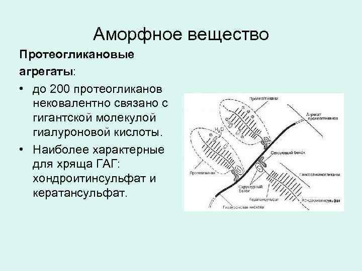 Синтез протеогликанов схема