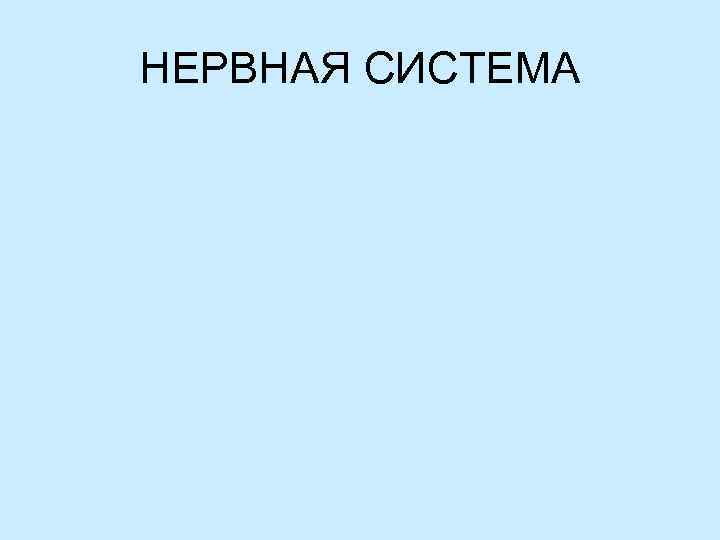 НЕРВНАЯ СИСТЕМА 