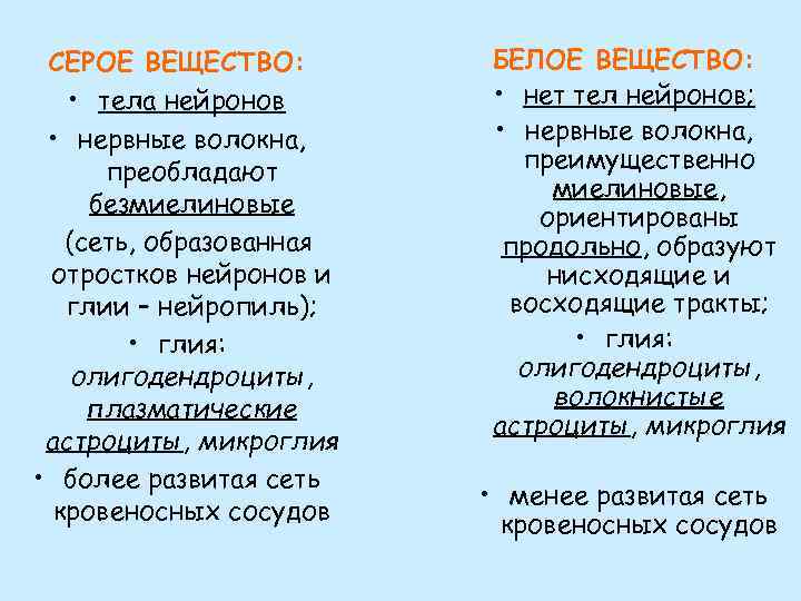СЕРОЕ ВЕЩЕСТВО: • тела нейронов • нервные волокна, преобладают безмиелиновые (сеть, образованная отростков нейронов