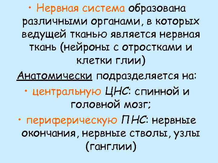  • Нервная система образована различными органами, в которых ведущей тканью является нервная ткань