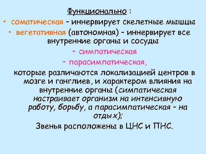 Функционально : • соматическая – иннервирует скелетные мышцы • вегетативная (автономная) – иннервирует все