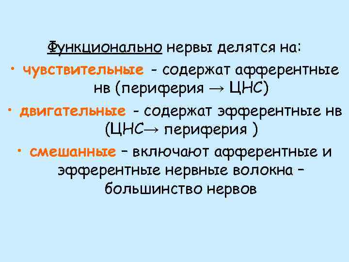 Функционально нервы делятся на: • чувствительные - содержат афферентные нв (периферия → ЦНС) •