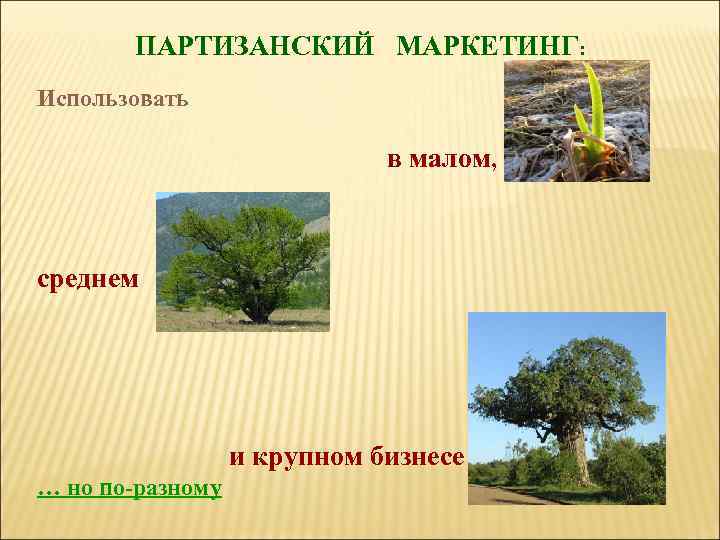 ПАРТИЗАНСКИЙ МАРКЕТИНГ: Использовать в малом, среднем и крупном бизнесе … но по-разному 