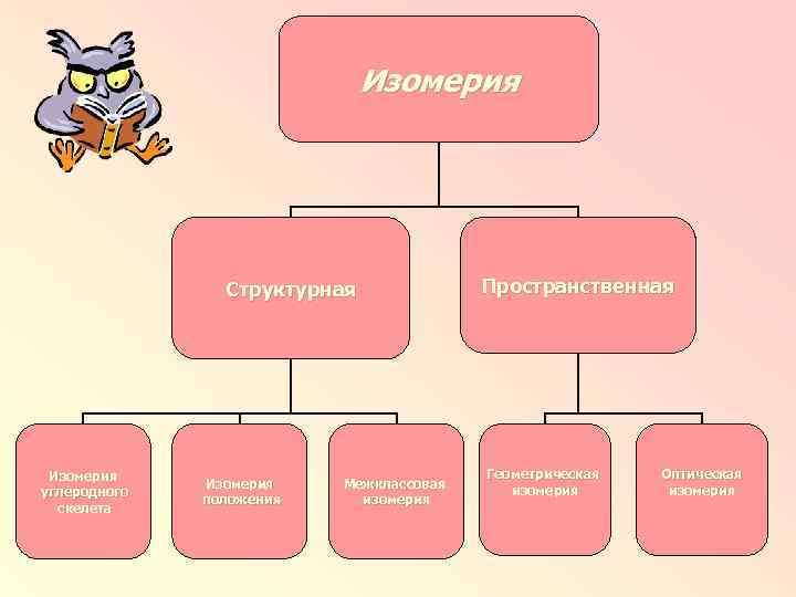 Изомерия Структурная Изомерия углеродного скелета Изомерия положения Межклассовая изомерия Пространственная Геометрическая изомерия Оптическая изомерия