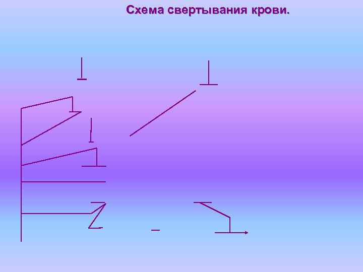 Схема свертывания крови. 