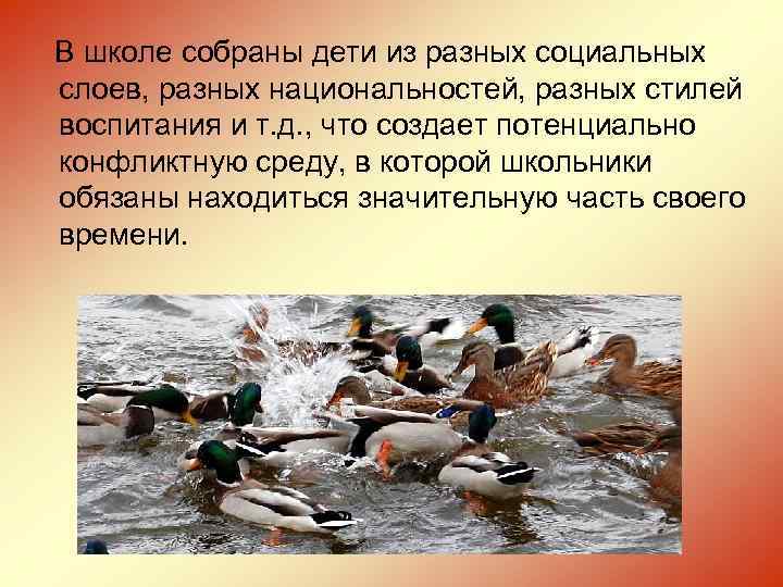В школе собраны дети из разных социальных слоев, разных национальностей, разных стилей воспитания и