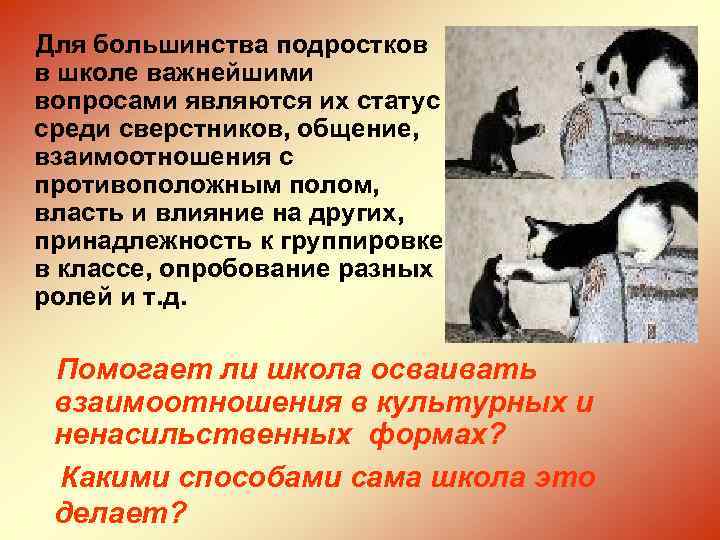 Для большинства подростков в школе важнейшими вопросами являются их статус среди сверстников, общение, взаимоотношения