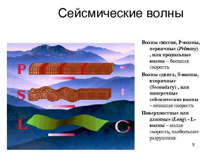 Разрезали волны. Сейсмические волны землетрясения схема. Продольные и поперечные сейсмические волны. Сейсмические волны 9 класс физика.